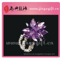 Erwachsene und Kinder Reine Violet Zirkon Doppel Kette Infinity Ring